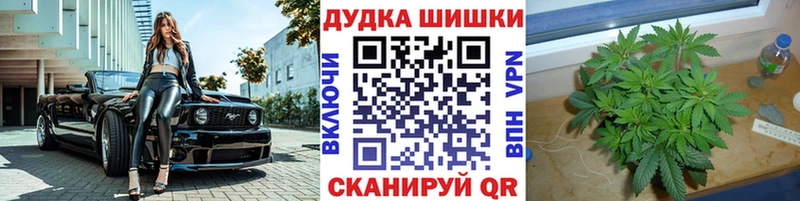 Конопля гибрид  цена   Заозёрный 